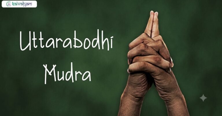 Uttarabodhi mudra: Meaning, Benefits, and Variations